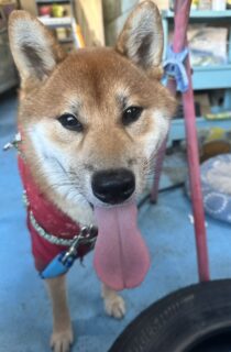 おすすめおでかけスポット📍