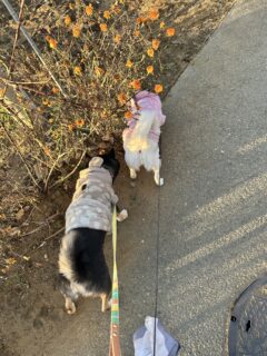 おすすめおでかけスポット📍