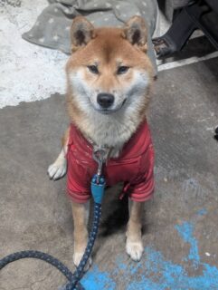 おすすめおでかけスポット📍