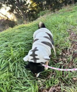 おすすめおでかけスポット📍