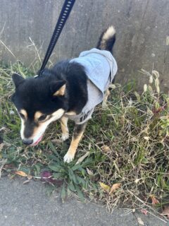 おすすめおでかけスポット📍