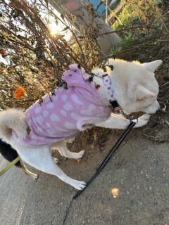 あらレン！のサービスについて💡