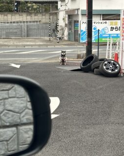 待ち人ならぬ待ち犬🐾