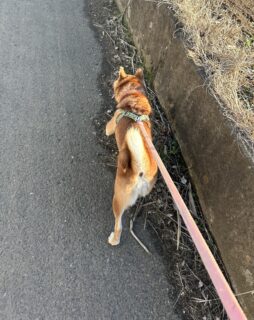 お車のご紹介🚗