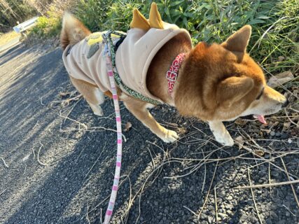 おすすめおでかけスポット📍