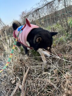 おすすめおでかけスポット📍