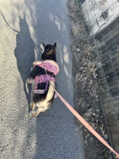 おすすめおでかけスポット📍