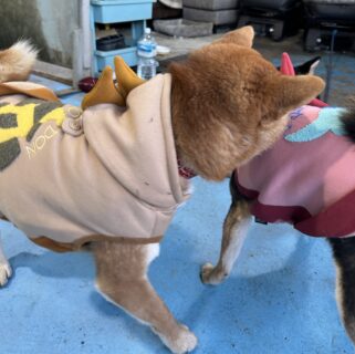 お車のご紹介🚗