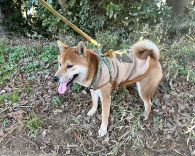 お車のご紹介🚗