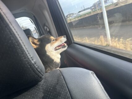 あらレン！のサービスについて💡