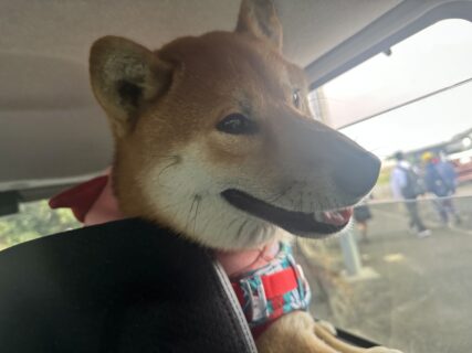 にこにこふぶきくんVer.🐾