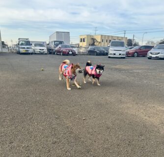 かわいいお顔🐾