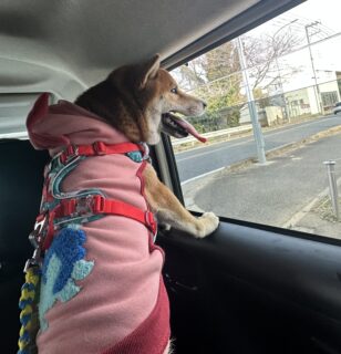 おすすめおでかけスポット📍