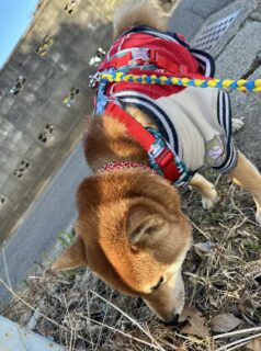 おすすめおでかけスポット📍