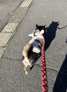 お車のご紹介🚗