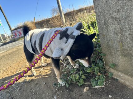 おすすめおでかけスポット📍