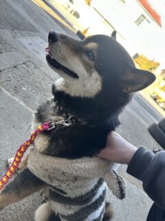 あらレン！のサービスについて💡