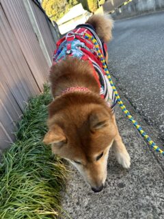 おすすめおでかけスポット📍