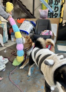 お車のご紹介🚗