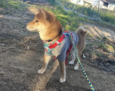 おすすめおでかけスポット📍