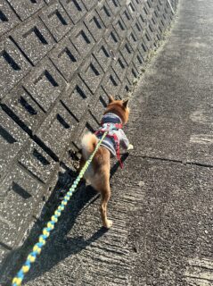 あらレン！のサービスについて💡