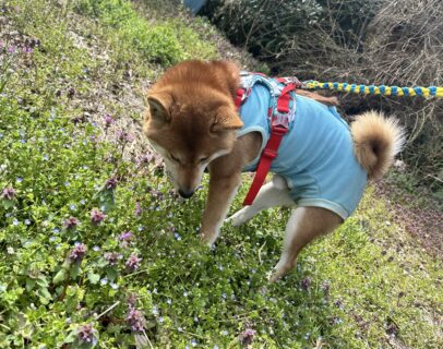 あらレン！のサービスについて💡