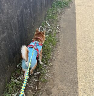 おすすめおでかけスポット📍