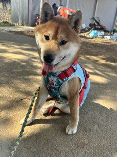 おすすめおでかけスポット📍