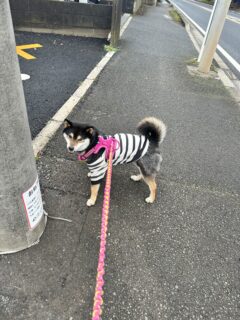 おすすめおでかけスポット📍