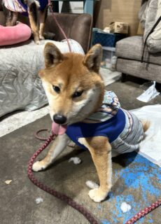 おすすめおでかけスポット📍