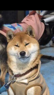 あらレン！のサービスについて💡
