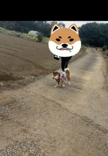 おまたせ！🐾