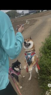 あそぶーっ！🐾