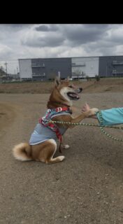 タッチするの〜？🐾