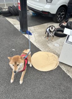 待ってましたー！！🐾