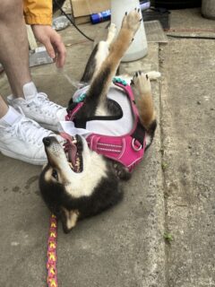 これからでしょ！？🐾