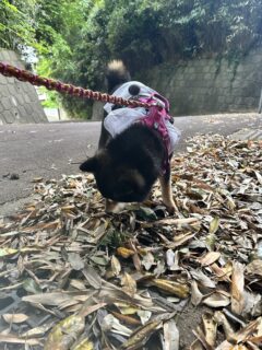 お車のご紹介🚗