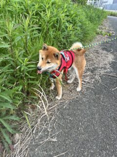 まだ？？🐾