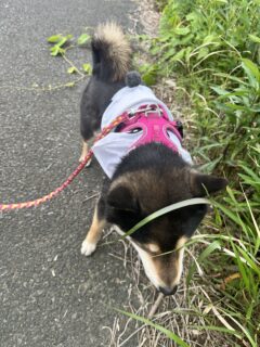 おすすめおでかけスポット📍