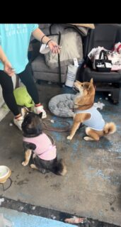 おやつううう🐾