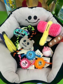 西船店での販売品紹介🧸