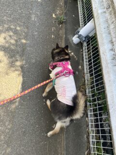 お車のご紹介🚗