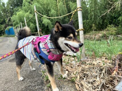 おすすめおでかけスポット📍