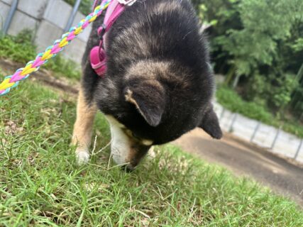 おすすめおでかけスポット📍