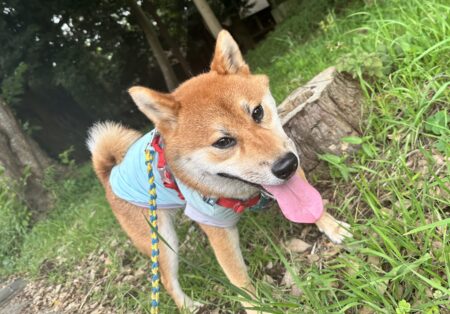 おすすめおでかけスポット📍