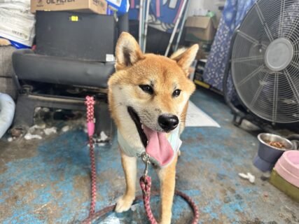 おすすめおでかけスポット📍