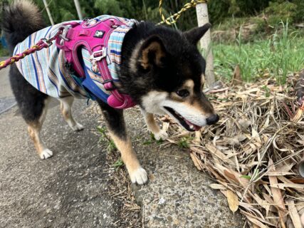 おすすめおでかけスポット📍