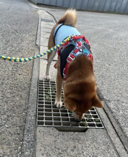 おすすめおでかけスポット📍